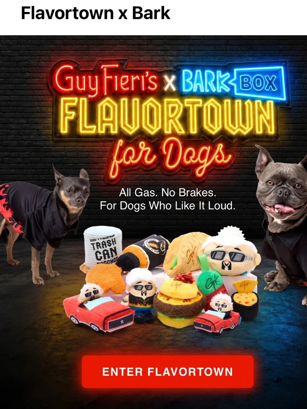 Bark new tags